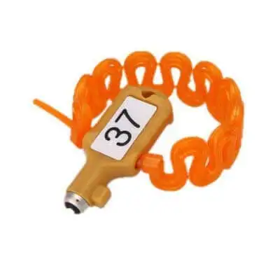Thẻ chìa khóa GK33PK